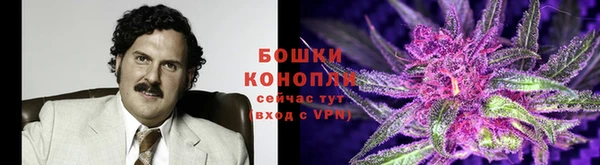 шишки Долгопрудный