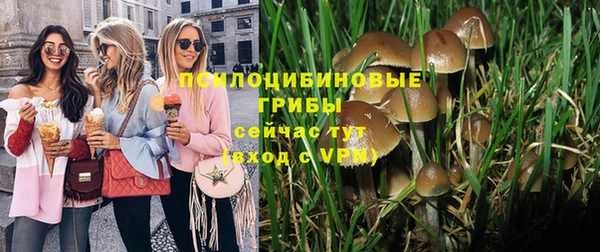 прущая мука Мегион