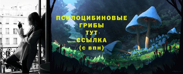 не бодяженный Медногорск