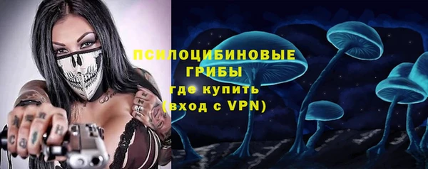 ГАЛЛЮЦИНОГЕННЫЕ ГРИБЫ Новый Уренгой