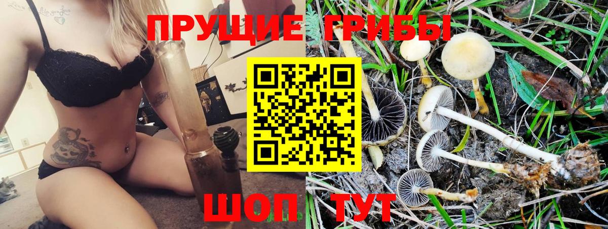 Галлюциногенные грибы мухоморы  Вход с VPN  Кропоткин  Галлюциногенные грибы Psilocybe 