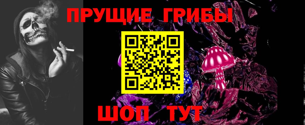 Галлюциногенные грибы Psilocybine cubensis Кропоткин